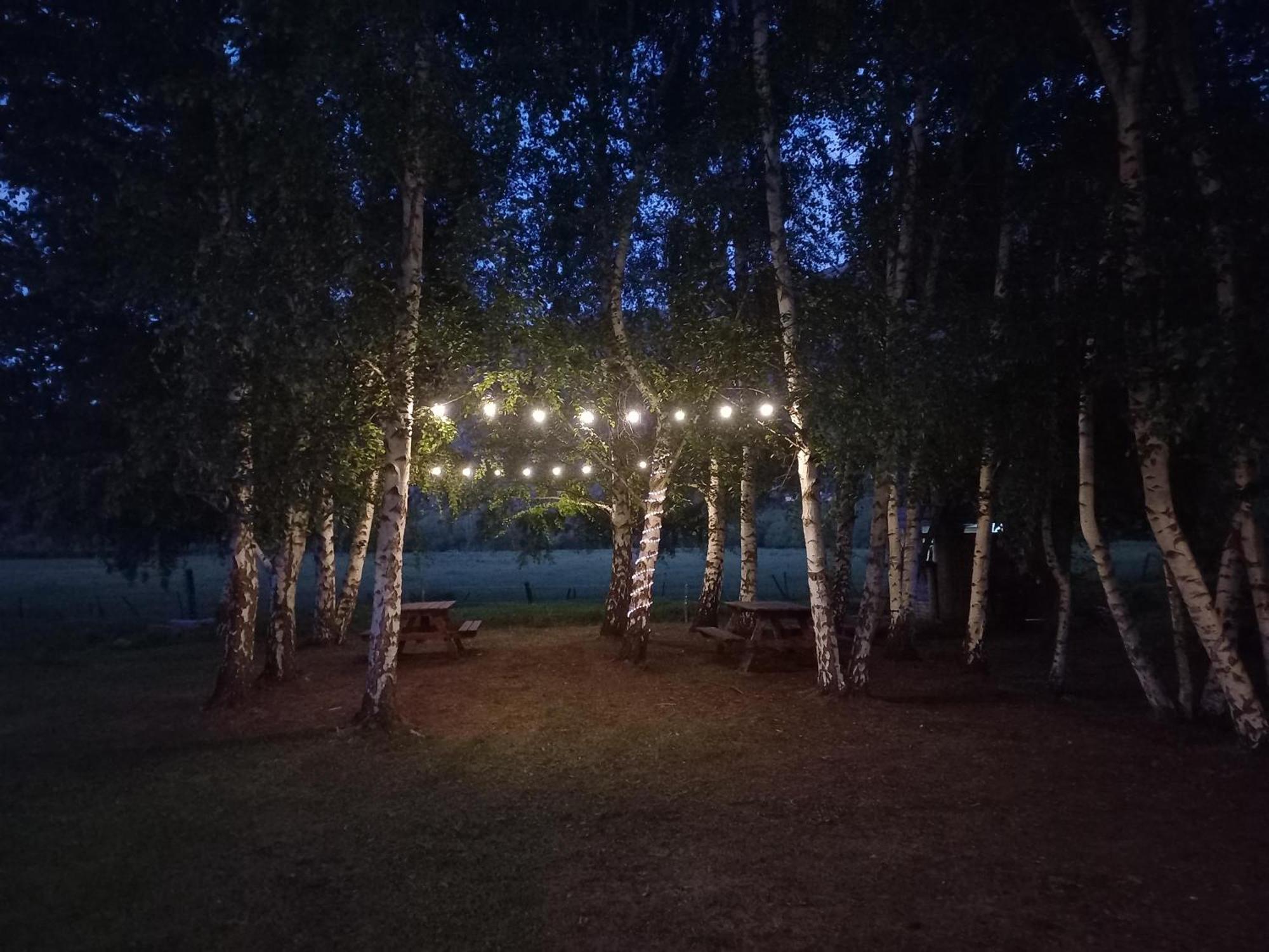 Hostel Lc Hoyo de Epuyén Exteriör bild